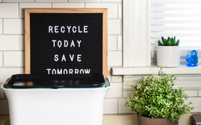 Eco-friendly Aspirations Becoming ‘New Normal’ Around the World