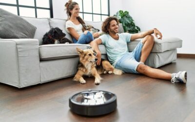 Pets are Family, and We Want More