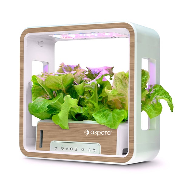 https://www.theinspiredhomeshow.com/wp-content/uploads/2023/02/Growgreen-Limited-aspara-Stylist-Lite-Smart-Grower-Art-Series2.jpg