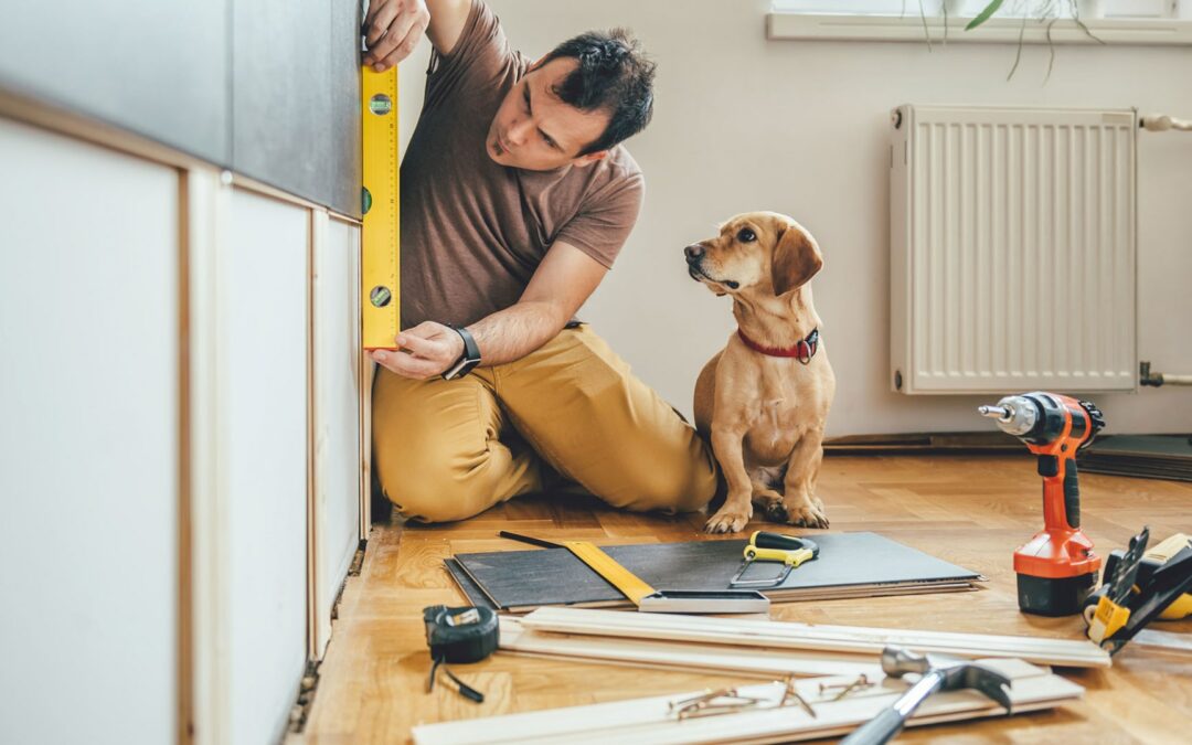 Home Improvement Still Popular