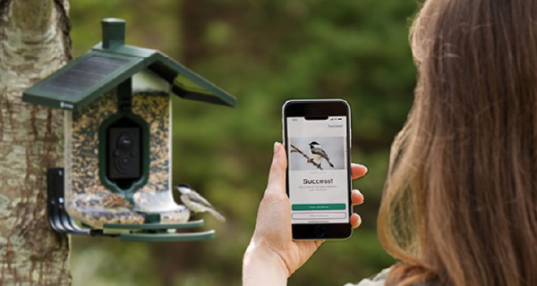 Wi-Fi Solar Powered Scout Smart Bird Feeder by FeatherSnap popcorn